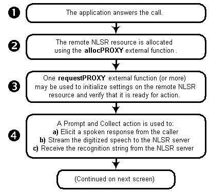 Diag Use of Basic NLSR External Functions in a Typical Application